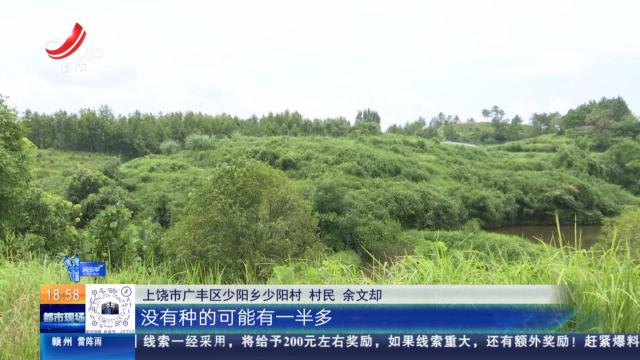 【直面问题纠“四风” 敢作善为抓落实】上饶广丰：农田租给村委会种果树 6年租金迟迟未到账？