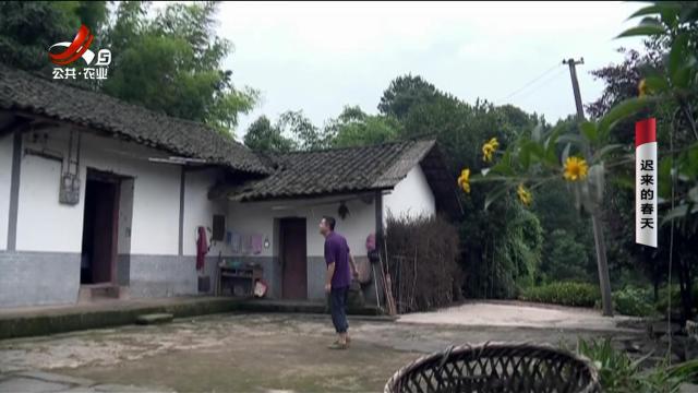乡村栏目剧场20250704 迟来的春天