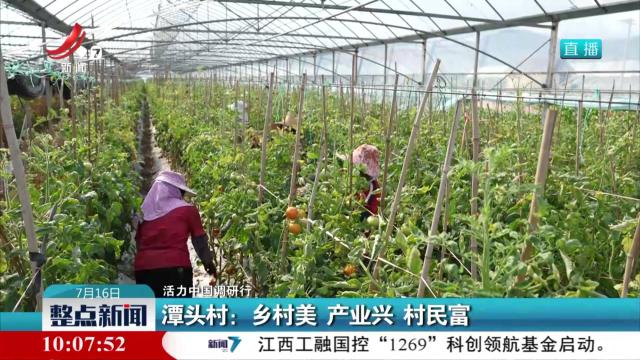 【活力中国调研行】潭头村：乡村美 产业兴 村民富