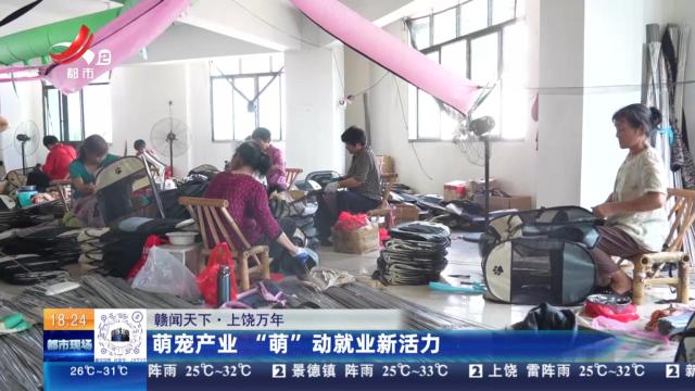 【赣闻天下】上饶万年：萌宠产业 “萌”动就业新活力