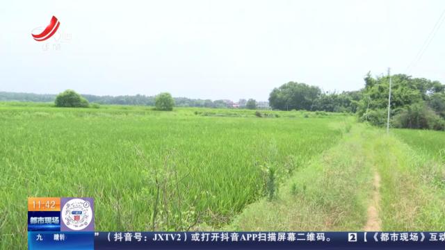 【直播连线·赣问·我为群众办实事】鹰潭贵溪：水田干旱水库不放水 村民很着急