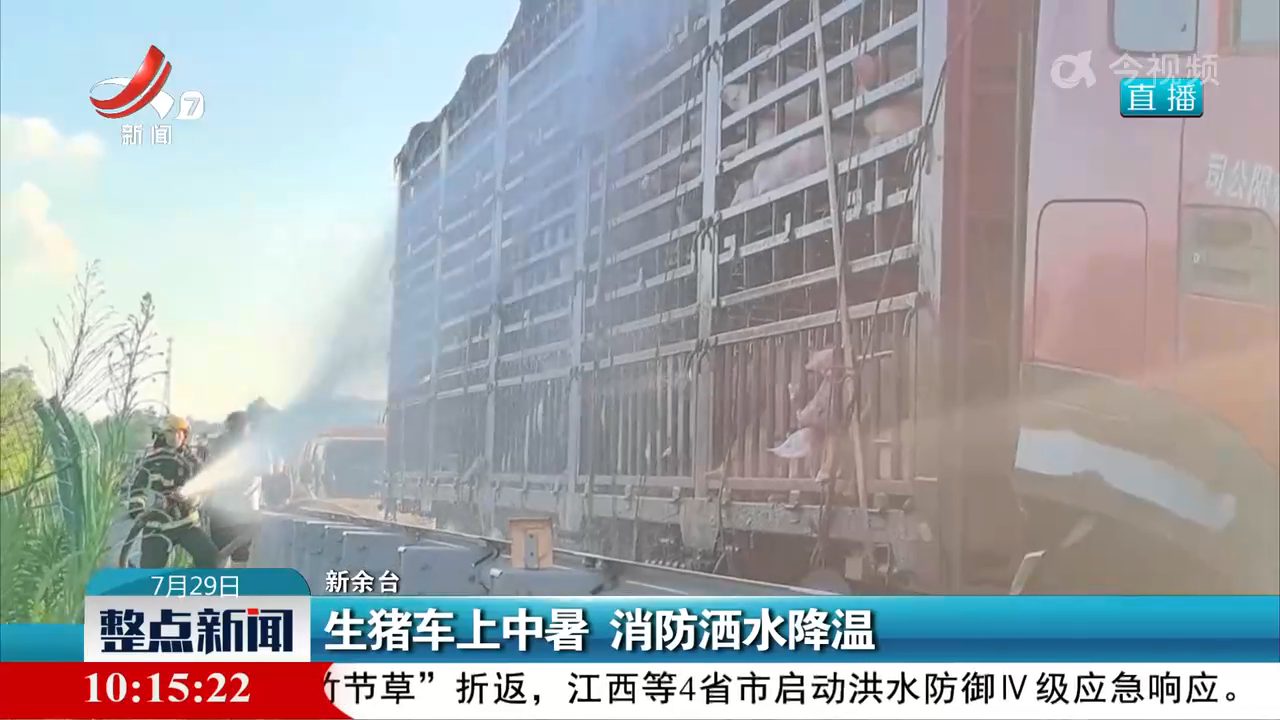 生猪车上中暑 消防洒水降温