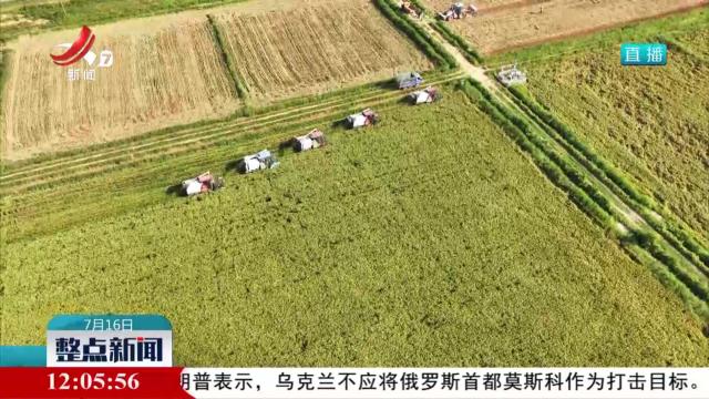农机焕新 跑出双抢加速度