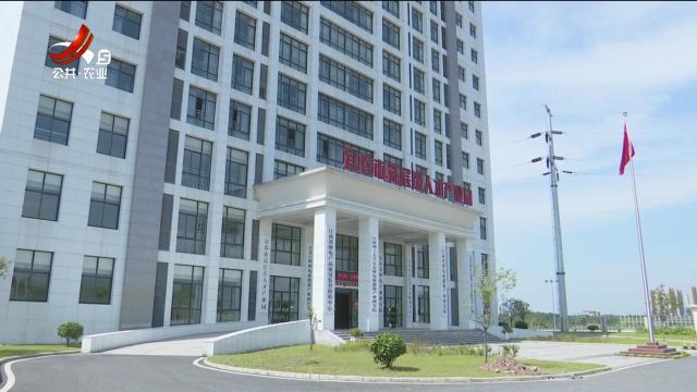 全省首例“计量高效办成一件事”改革证书制发 锂电产业迎来政务服务改革红利