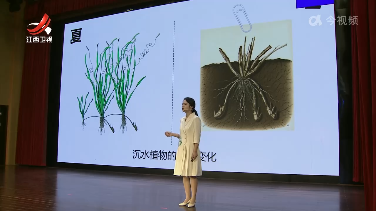 第四届全省林业科普讲解大赛决赛在南昌举行