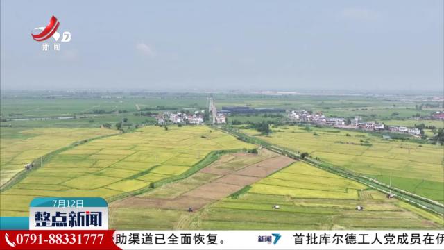 整点新闻20250712 14:00