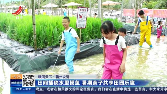 【赣闻天下】赣州安远：田间插秧水里摸鱼 暑期亲子共享田园乐趣