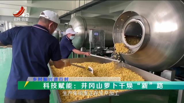 稻花香里20250715 乡村振兴进行时——科技赋能：井冈山萝卜干焕“新”路