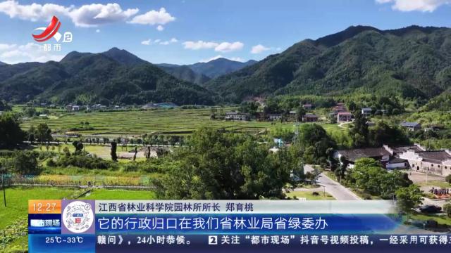 都市现场·午间版20250731