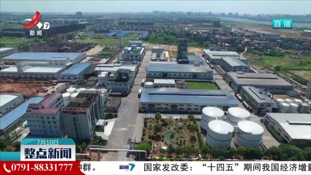 【做好“土特产”文章 建设现代化大产业】一粒碎米的蝶变