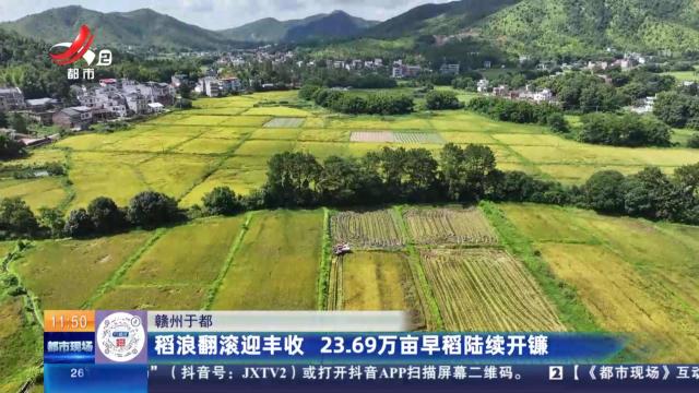 赣州于都：稻浪翻滚迎丰收 23.69万亩早稻陆续开镰