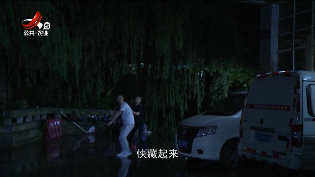乡村栏目剧场20250711 盛放在彼岸