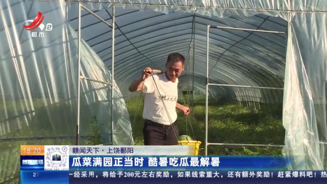 【赣闻天下】上饶鄱阳：瓜菜满园正当时 酷暑吃瓜最解暑