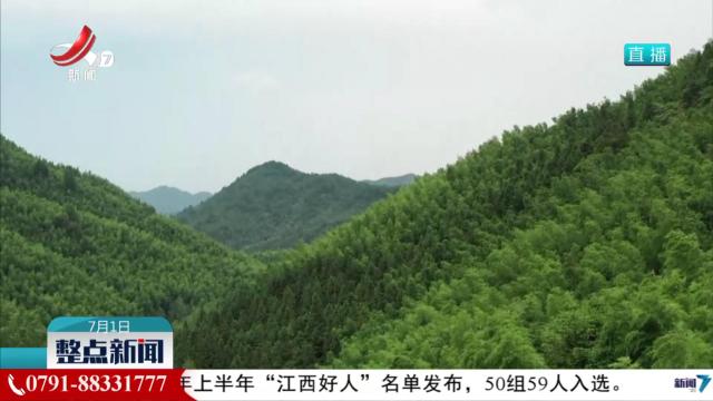 我省在全球首次破译雷竹“基因密码”