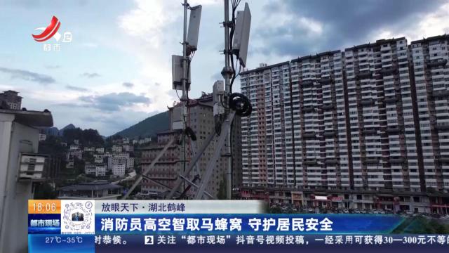 【放眼天下】湖北鹤峰：消防员高空智取马蜂窝 守护居民安全