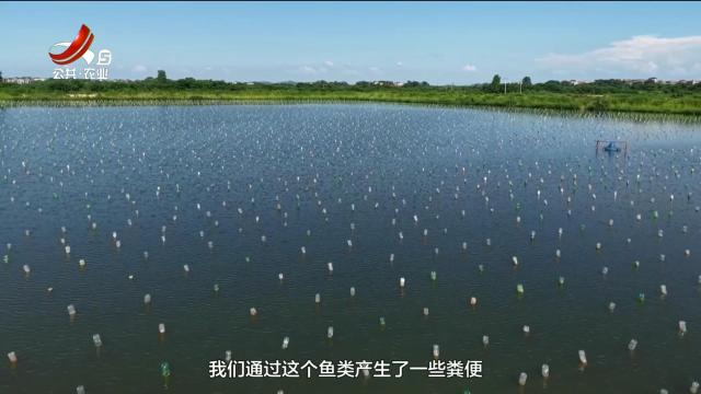 农问20250713