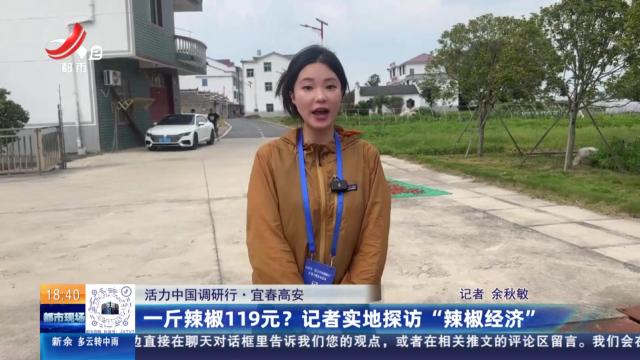 【活力中国调研行】宜春高安：一斤辣椒119元？记者实地探访“辣椒经济”