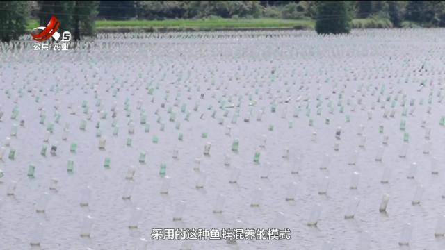 农问20250720