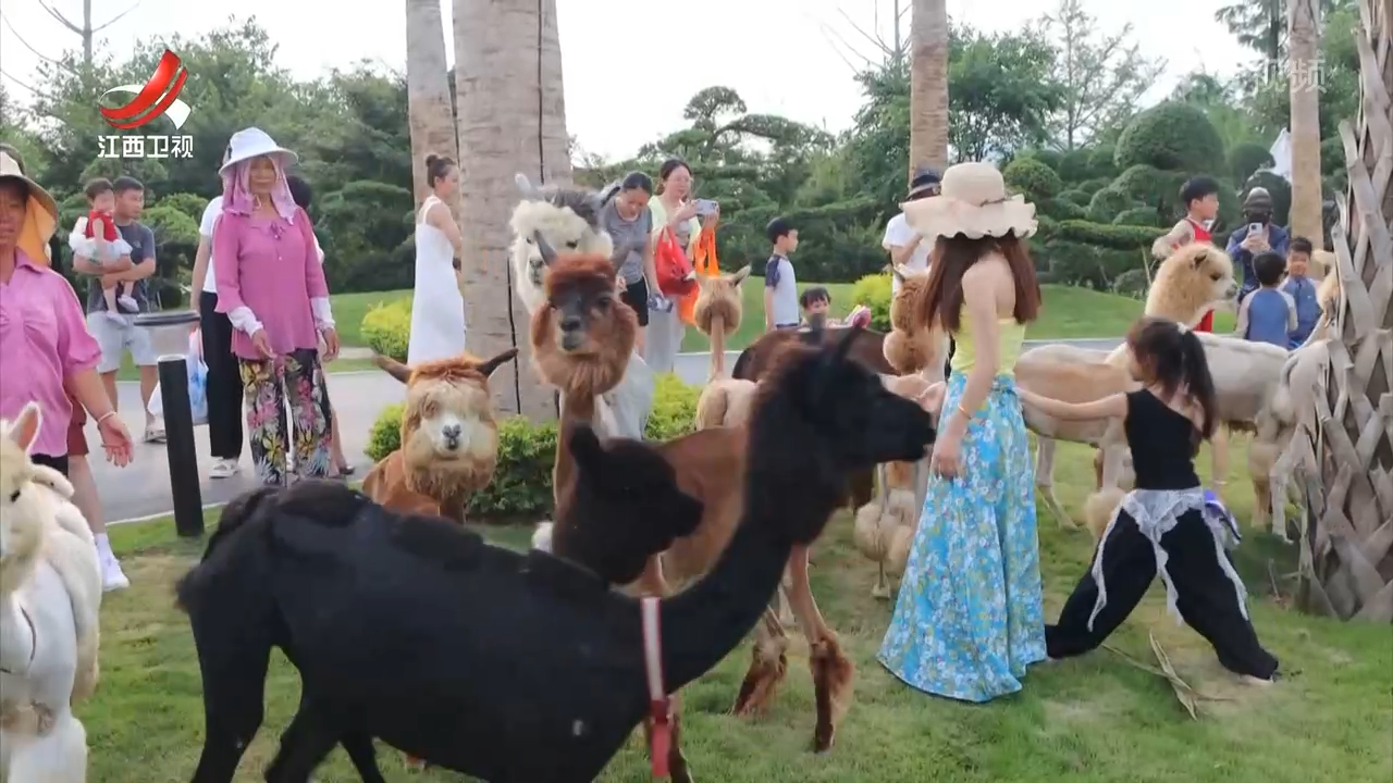 江西：场景创新服务升级 让清凉经济“热”起来