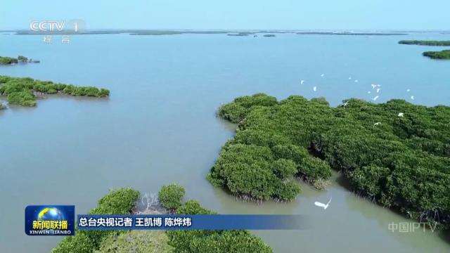 中央电视台《新闻联播》20250725