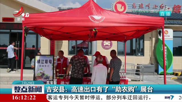 吉安县：高速出口有了“助农购”展台