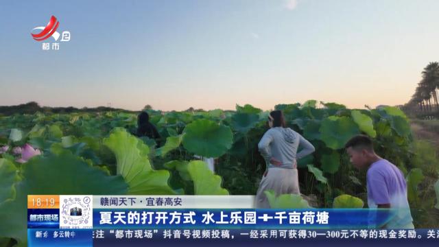 【赣闻天下】宜春高安：夏天的打开方式 水上乐园+千亩荷塘