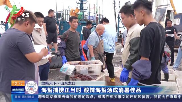 【放眼天下】山东龙口：海蜇捕捞正当时 酸辣海蜇汤成消暑佳品