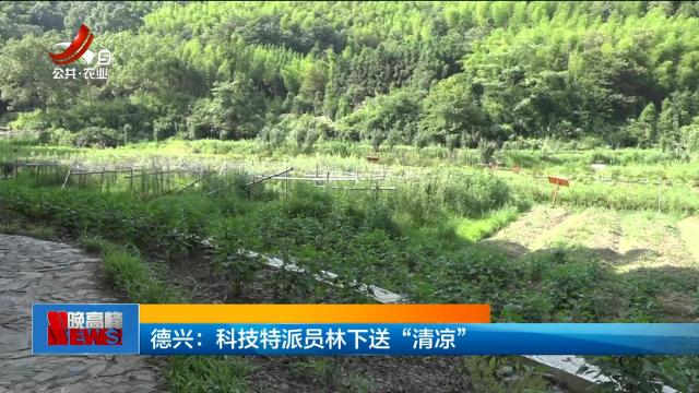 德兴：科技特派员林下送“清凉”