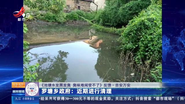 【《池塘水发黑发臭 臭味难闻受不了》反馈·吉安万安】；罗塘乡政府：近期进行清理