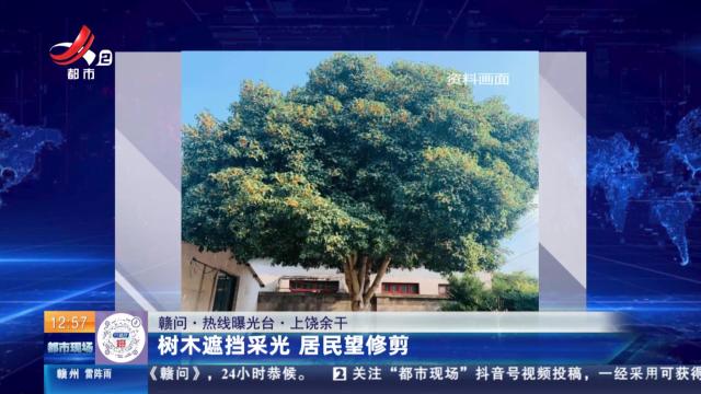 【赣问·热线曝光台】上饶余干：树木遮挡采光 居民望修剪