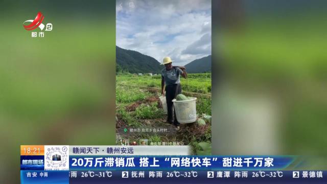 【赣闻天下】赣州安远：20万斤滞销瓜 搭上“网络快车”甜进千万家