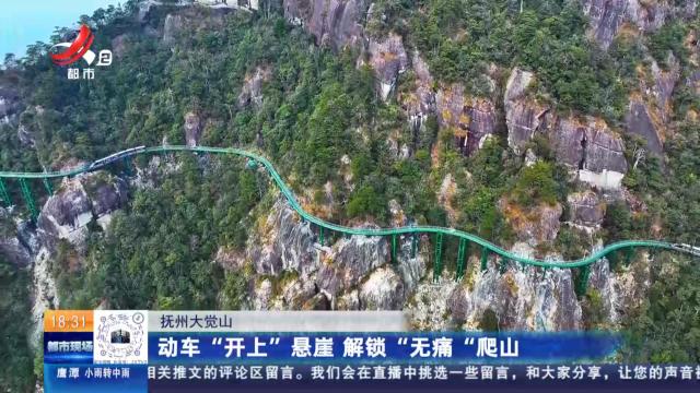 都市现场20250708