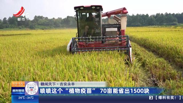 【赣闻天下】吉安永丰：喷喷这个“植物疫苗” 70亩能省出1500块