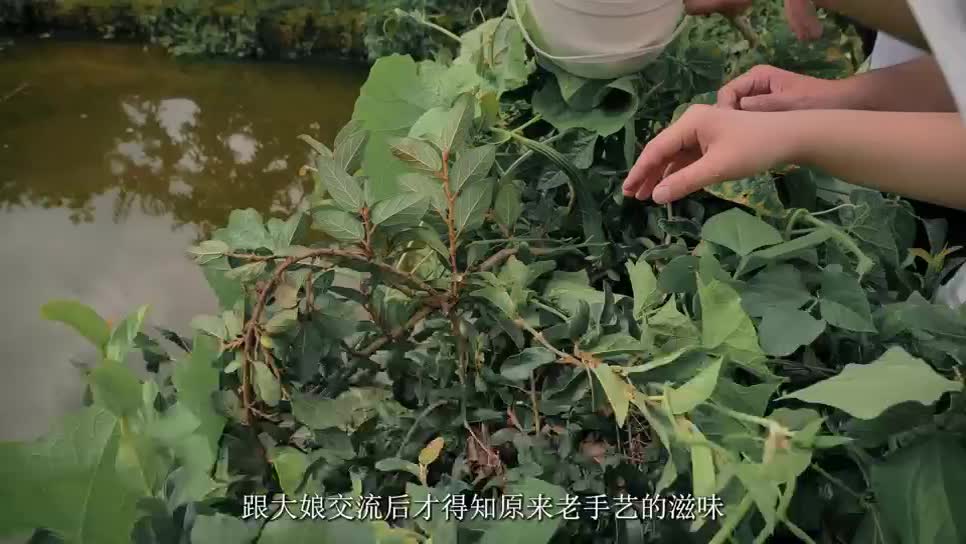 青春“乡”伴，手作清凉