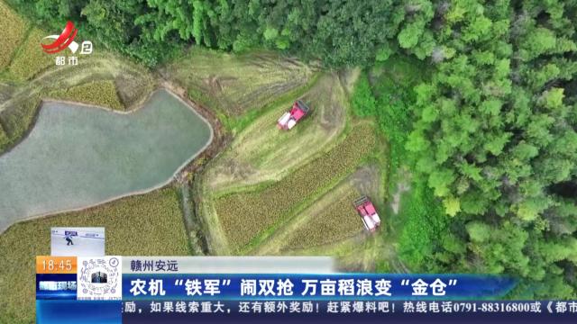 赣州安远：农机“铁军”闹双抢 万亩稻浪变“金仓”