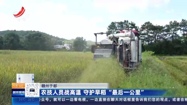 赣州于都：农技人员战高温 守护早稻“最后一公里”