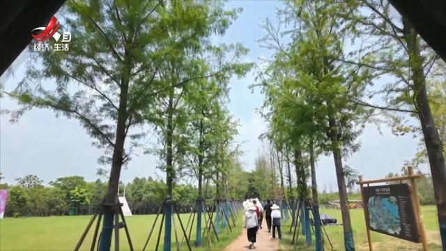 生态江西20250724