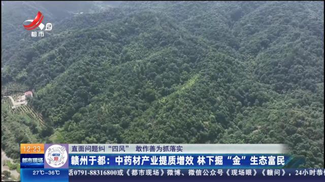 【直面问题纠“四风” 敢作善为抓落实】赣州于都：中药材产业提质增效 林下掘“金”生态富民