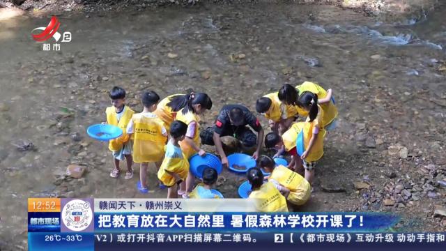 【赣闻天下】赣州崇义：把教育放在大自然里 暑假森林学校开课了！