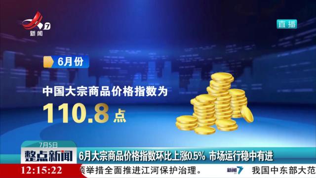 6月大宗商品价格指数环比上涨0.5% 市场运行稳中有进