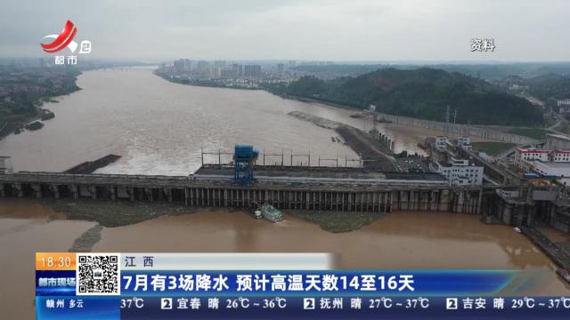 都市现场20250702