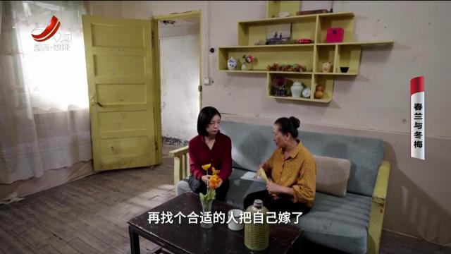 乡村栏目剧场20250729 春兰与冬梅