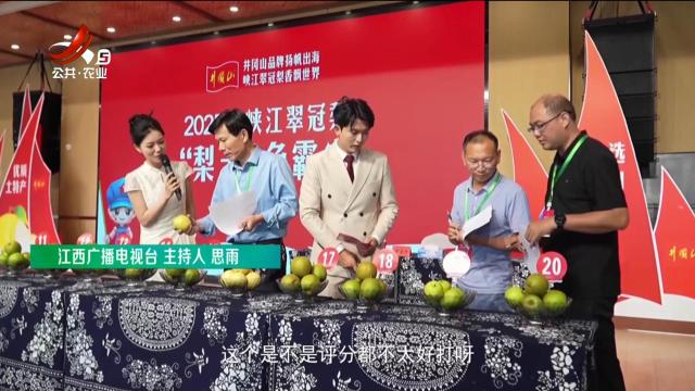 稻花香里20250716 乡村振兴进行时——果农们的“梨”想生活