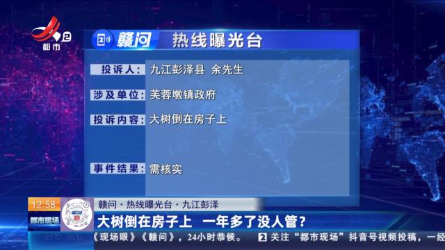 【赣问·热线曝光台】九江彭泽：大树倒在房子上 一年多了没人管？
