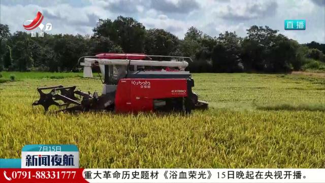 农机焕新 跑出双抢加速度