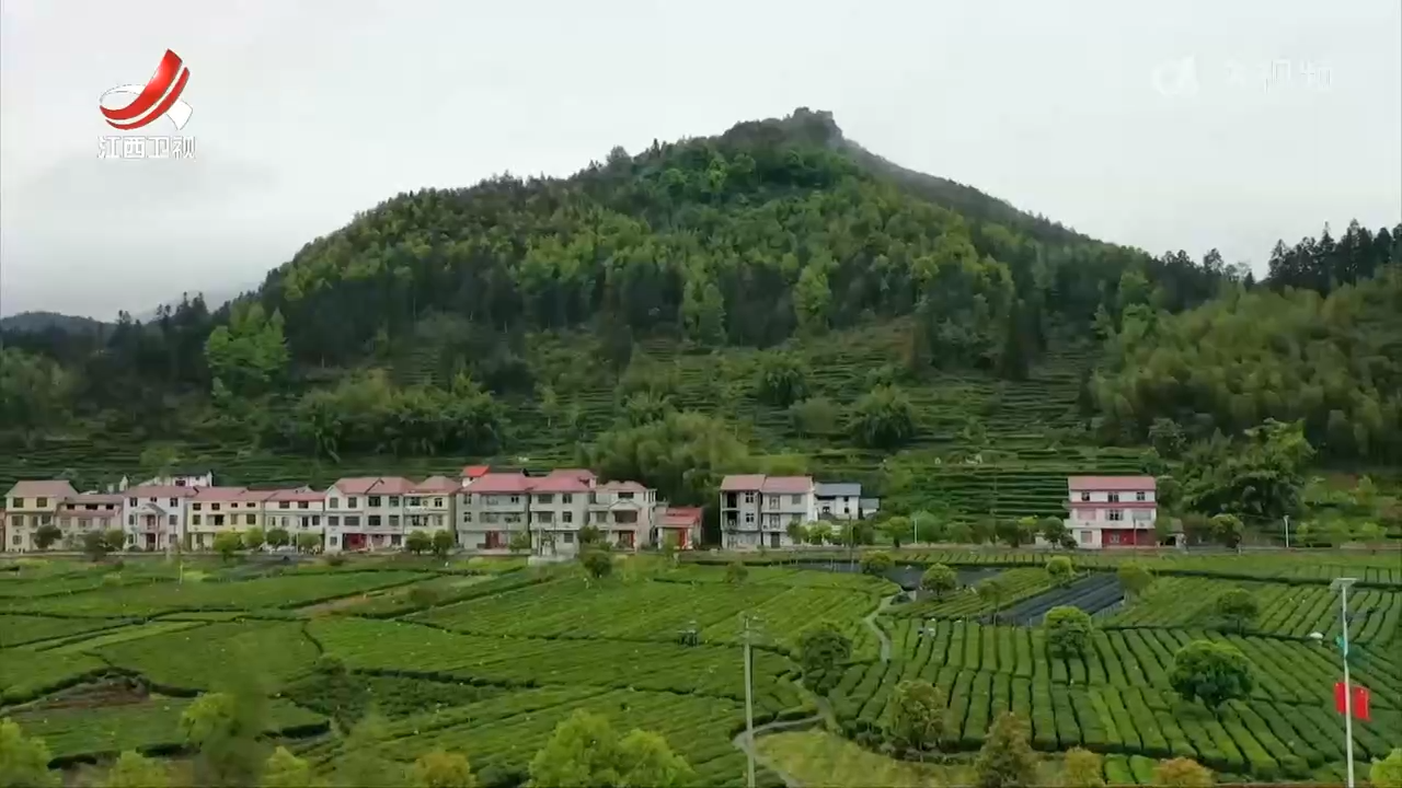 全省首张“茶票”在遂川县发行