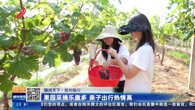【赣闻天下】抚州临川：果园采摘乐趣多 亲子出行热情高