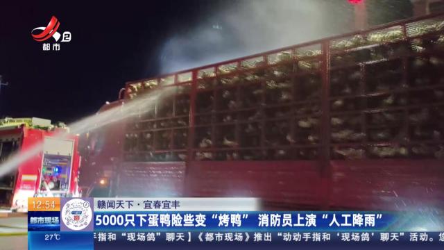 【赣闻天下】宜春宜丰：5000只下蛋鸭险些变“烤鸭” 消防员上演“人工降雨”