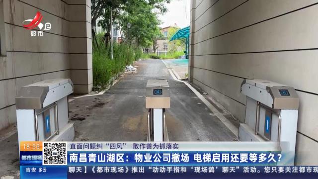 都市现场20250731