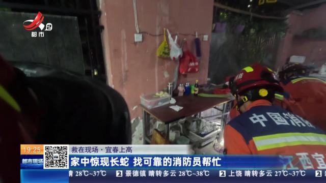 【救在现场】宜春上高：家中惊现长蛇 找可靠的消防员帮忙